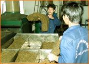 nhấp vo
