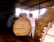 nhấp vo